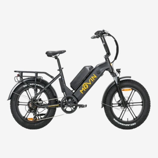 Movin Pulse Fat Tire Delivery E-Bike