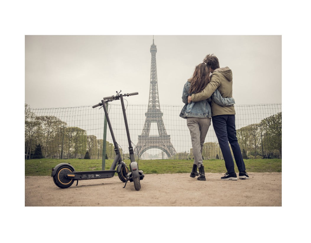 Segway Ninebot G30P MAX Adult Electric Scooter