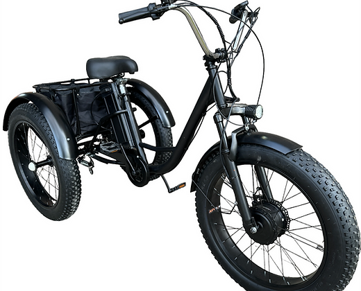 Electric Fat Tire Tricycle 500W