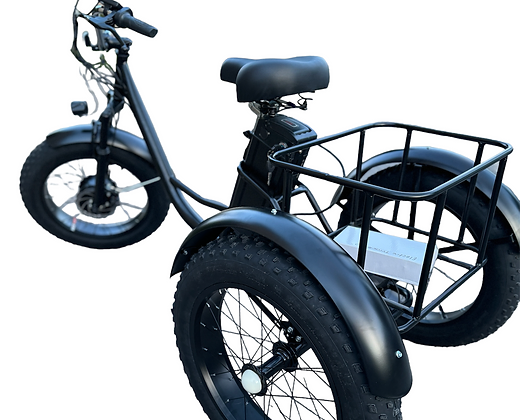 Electric Fat Tire Tricycle 500W