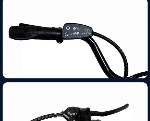 Electric Fat Tire Tricycle 500W