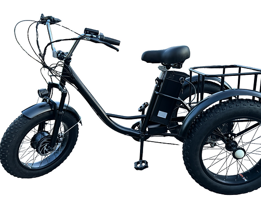 Electric Fat Tire Tricycle 500W