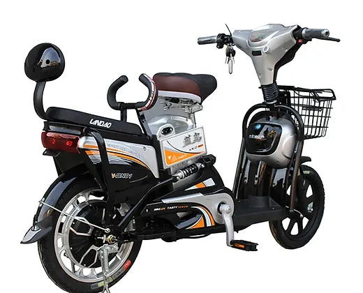 Ebike with Removable Battery