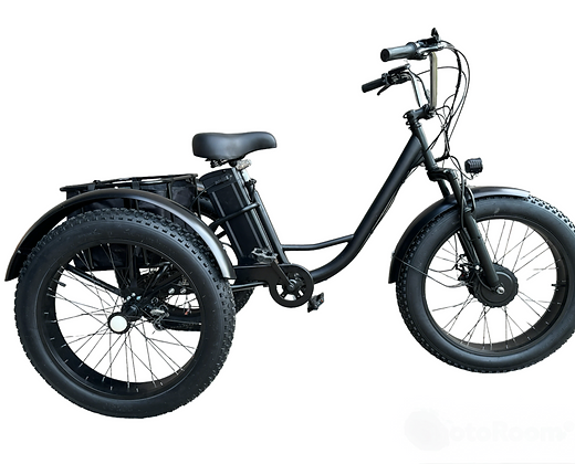 Electric Fat Tire Tricycle 500W