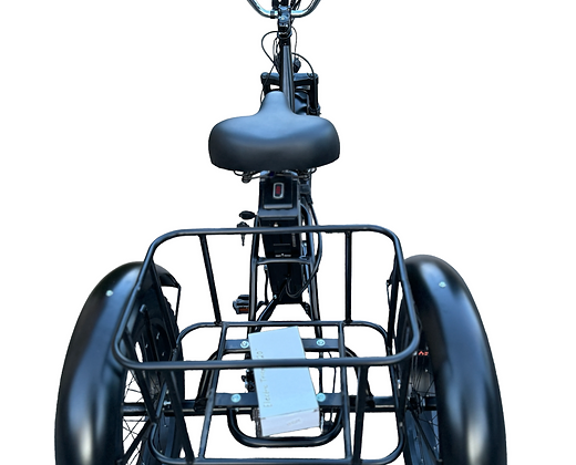 Electric Fat Tire Tricycle 500W