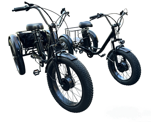 Electric Fat Tire Tricycle 500W