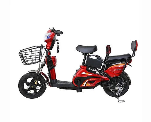 Ebike with Removable Battery