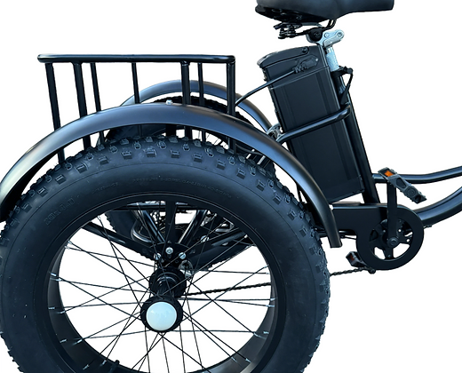 Electric Fat Tire Tricycle 500W