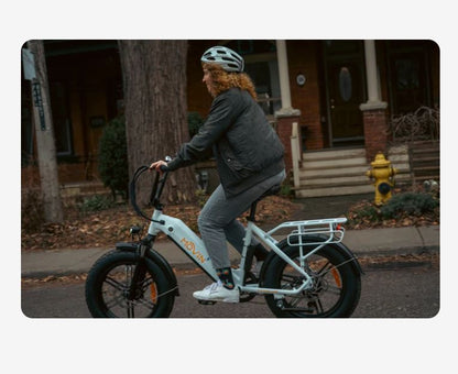 Movin Pulse Fat Tire Delivery E-Bike