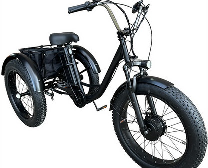 Electric Fat Tire Tricycle 500W