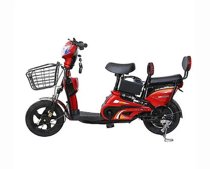 Ebike with Removable Battery